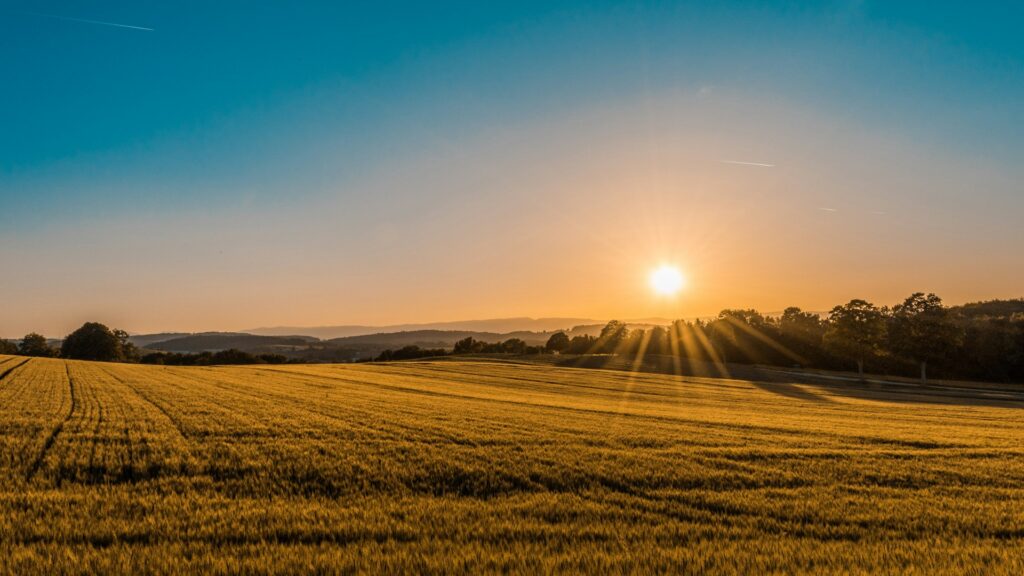 Sunrise over fields